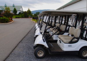 Warriors Golf Loses to Monticello