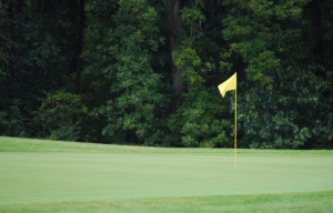 WAHS Golf Takes 3rd at Districts