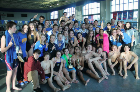 Boys Swimming Win at Conferences