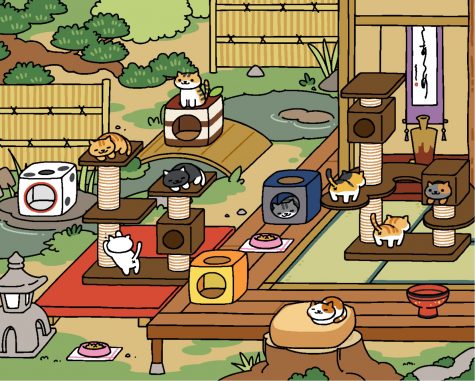 On Cats and Compulsions