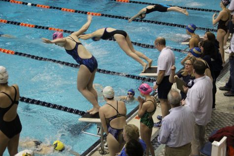 Swim Teams Finish Second and Fourth at States