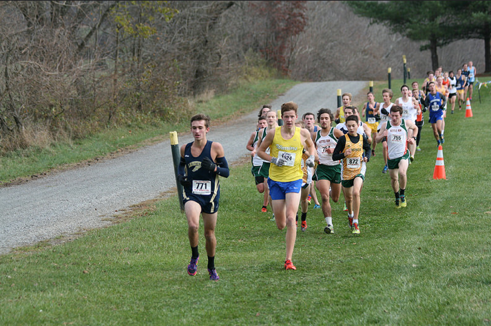Members of the Boys Cross Country Team during their state race
