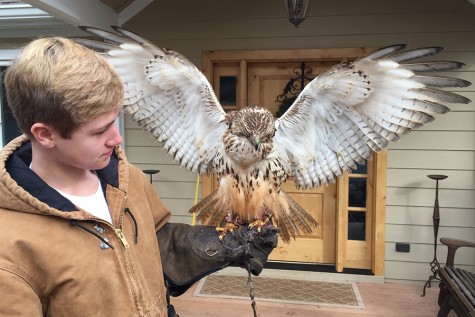 Falconer Soars into School