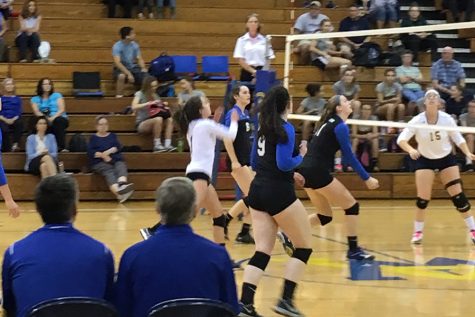 Volleyball Kills It