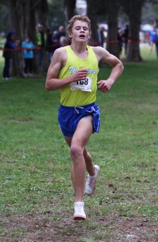 Boys and Girls Cross Country crush it at States