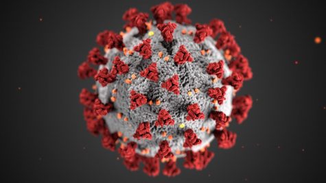 Corona Virus Concerns Force Schools to Close