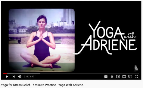 Review: Online Workouts