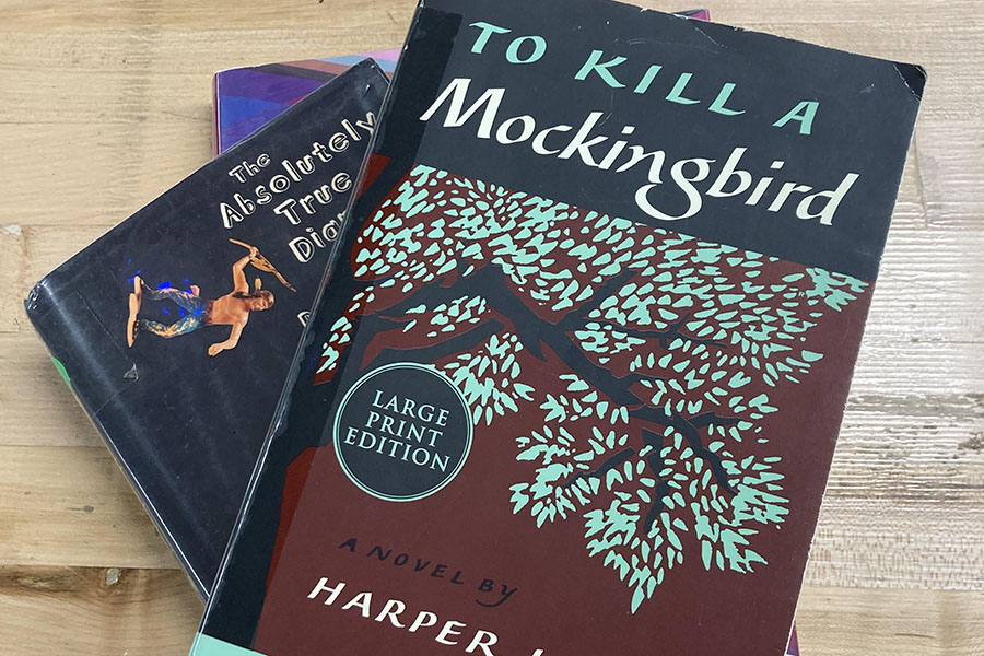 Both traditionally banned books and modern ones are under scrutiny from Youngkin’s law