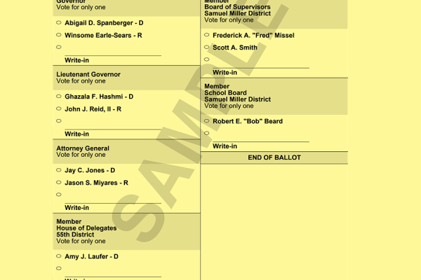 This sample ballot shows voters what to expect. Note that White Hall residents will not have the final two options.
