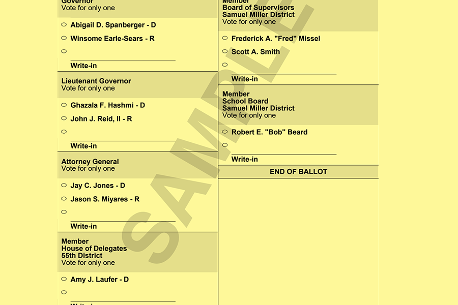 This sample ballot shows voters what to expect. Note that White Hall residents will not have the final two options.